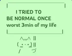 Cat holding sign that reads: I TRIED TO BE NORMAL ONCE, worst 3 minutes of my life
