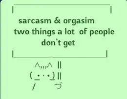 Cat holding sign that reads: sarcasm and orgasim, two things a lot of people don't get