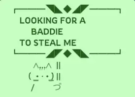 Cat holding sign that reads: LOOKING FOR A BADDIE TO STEAL ME