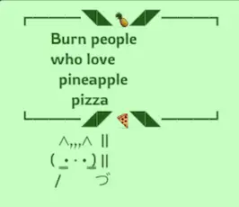 Cat holding sign that reads: Burn people who love pineapple pizza